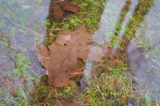 Nikon D3200: poněkud okatý low-end