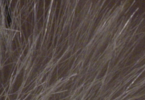 Olympus PEN E-P3: král všech PENů