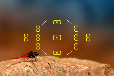 DSLR na cestě časem - 6. díl