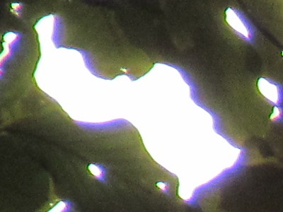 Canon PowerShot SX30 IS: sebevědomý rekordman