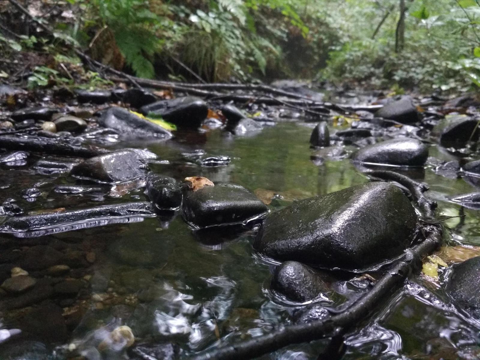 Xiaomi Mi 4C 16GB: ostřejší než břitva