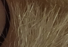 Sony Cyber-shot WX100: maličký silák