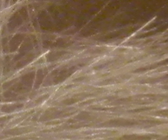 Nikon Coolpix S1100pj: kino v kompaktu