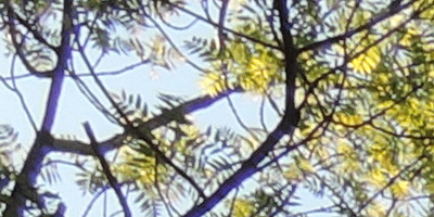 Nikon Coolpix P330: do vyšších sfér