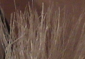 Samsung NX20: za více peněz více muziky