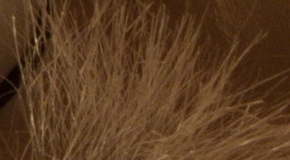 Nikon D7200: přesvědčivé zrcadlo