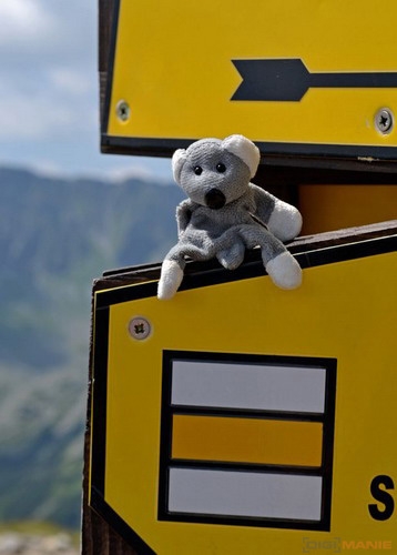 Fotíme s Koalou: Lesk a bída sekvenčního snímání