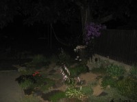 Canon PowerShot A700: Mezi kompaktem a ultrazoomem