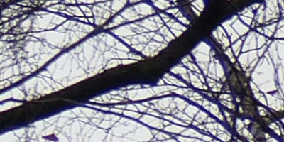 Panasonic Lumix FZ200: ultrazoomové překvapení roku