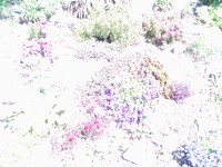 Nokia N80 - jak fotí 3megapixelový fotomobil?