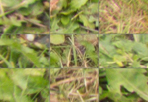 Panasonic Lumix FZ300: opět na špici