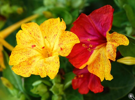 Úpravy fotografií v PC, 3.díl - kontrast