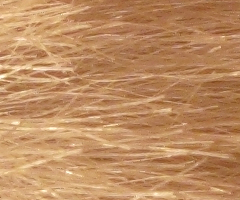 Canon PowerShot G10: stále mezi nejlepšími