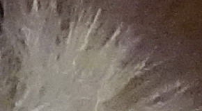 Sony Cyber-shot RX100 III (RX100M3): superSony