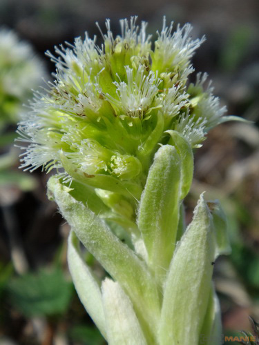 Sony Cyber-shot TX10: odolný zálesák