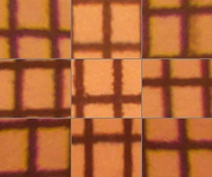 Fujifilm FinePix HS10: ultrazoom roku?