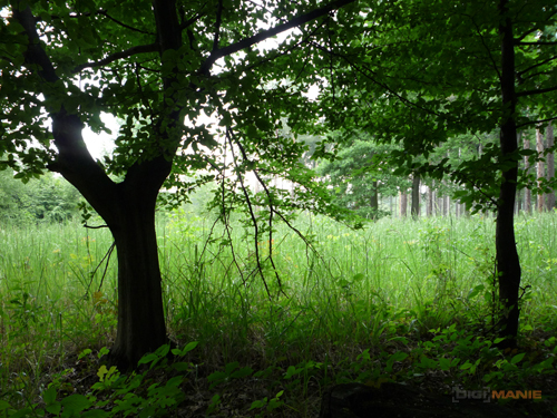 Panasonic Lumix LZ10: překvapivý všeuměl