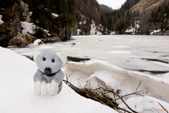 Koala cestuje: Slovinsko 2. díl (Bledské a Bohinjské jezero)