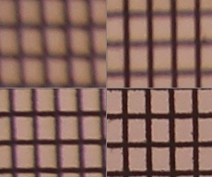 Canon EOS 550D: třídní premiant