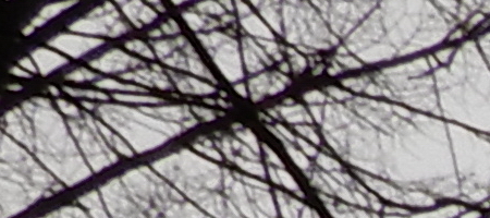 Nikon Coolpix A900: 4K do kapsy