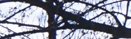 Sony FE 28-70mm F3.5-5.6 OSS (SEL2870)