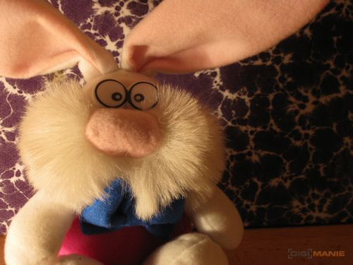 Canon PowerShot A1000 IS: ve stínu předchůdce