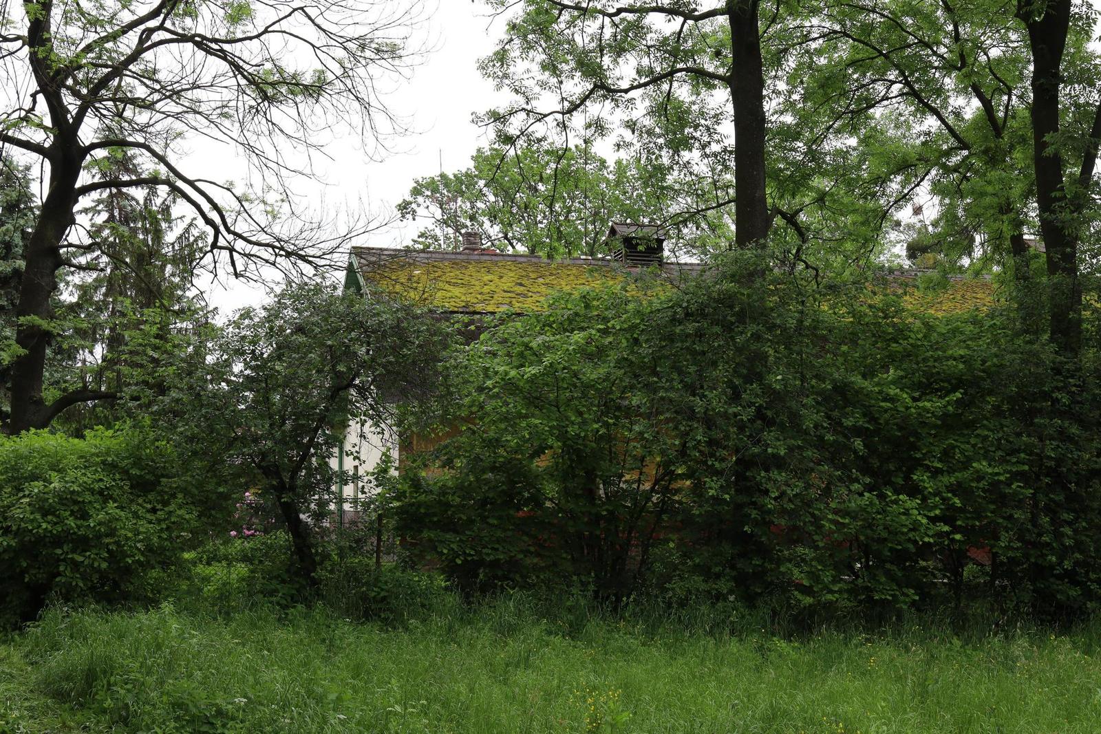 Canon RF 24-105mm f/4 L IS USM