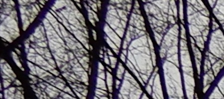 Nikon Coolpix A900: 4K do kapsy