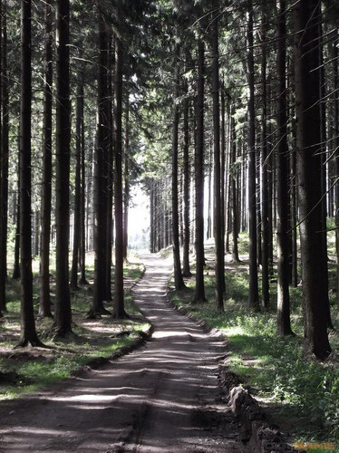 Fujifilm FinePix T200: nejlevnější ultrazoom Fuji