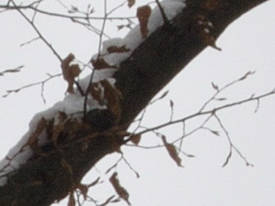 Dva objektivy nebo jeden ultrazoom?