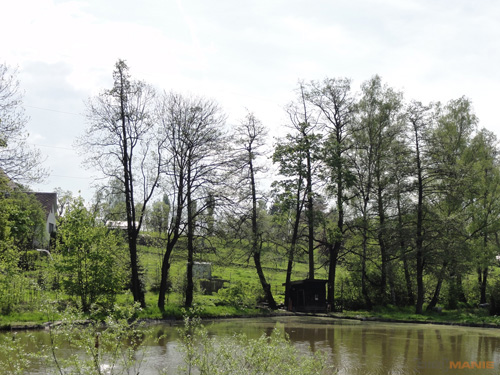 Sony Cyber-shot HX5: pan téměř dokonalý