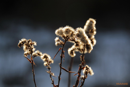 Megatest ultrazoomových objektivů