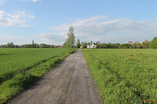 Canon EF-S 18-55mm F3,5-5,6 IS II