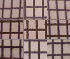 Panasonic Lumix TZ10: kapesní dělo