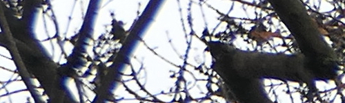 Panasonic Lumix LX15: noční borec