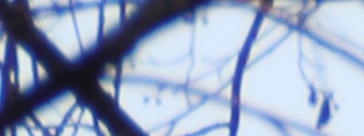 Megatest ultrazoomových objektivů