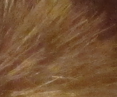 Canon IXUS 300 HS: superstylovka i pro náročné