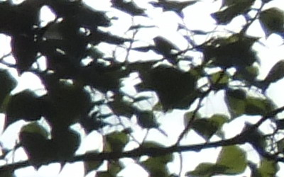 Fujifilm FinePix HS20EXR: důstojný nástupce