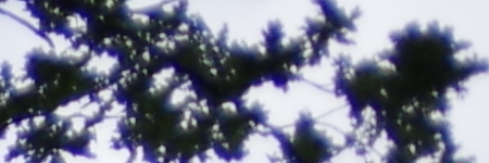 Pentax-DA 18-135mm 1:3.5-5.6 ED AL [IF] DC WR