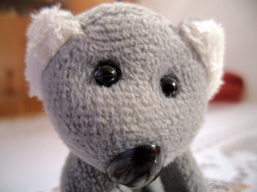 Fotíme s Koalou: Makro a telemakro