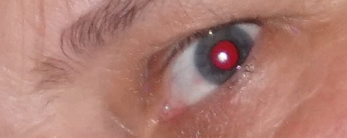 Sony A6000 (ILCE-6000): stále dobrý