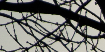 Sony SAL-70400G (70-400mm F4-5,6 SSM G)