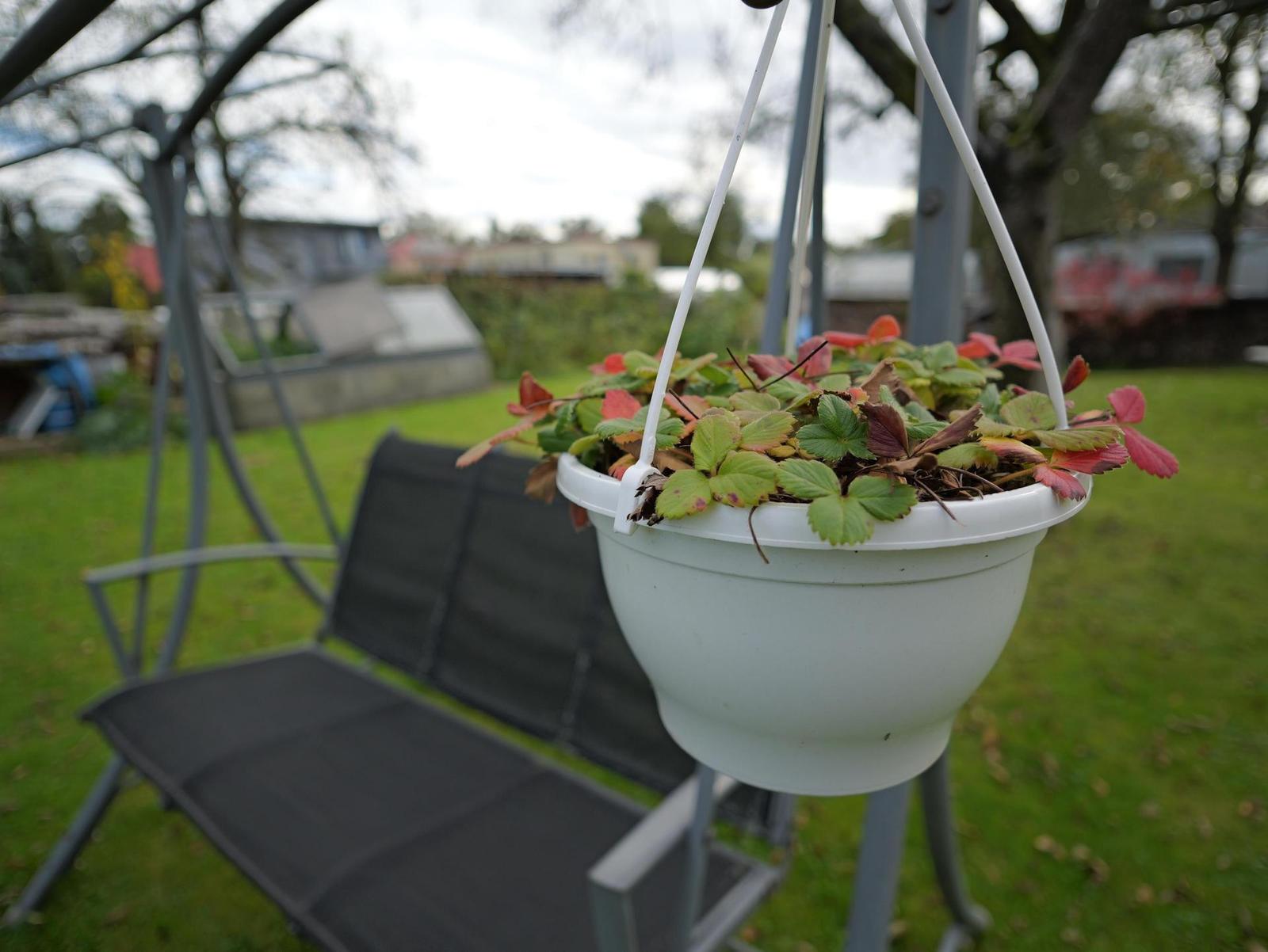 Panasonic Leica Summilux DG 9mm f/1.7 ASPH.