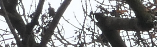 Panasonic Lumix LX15: noční borec