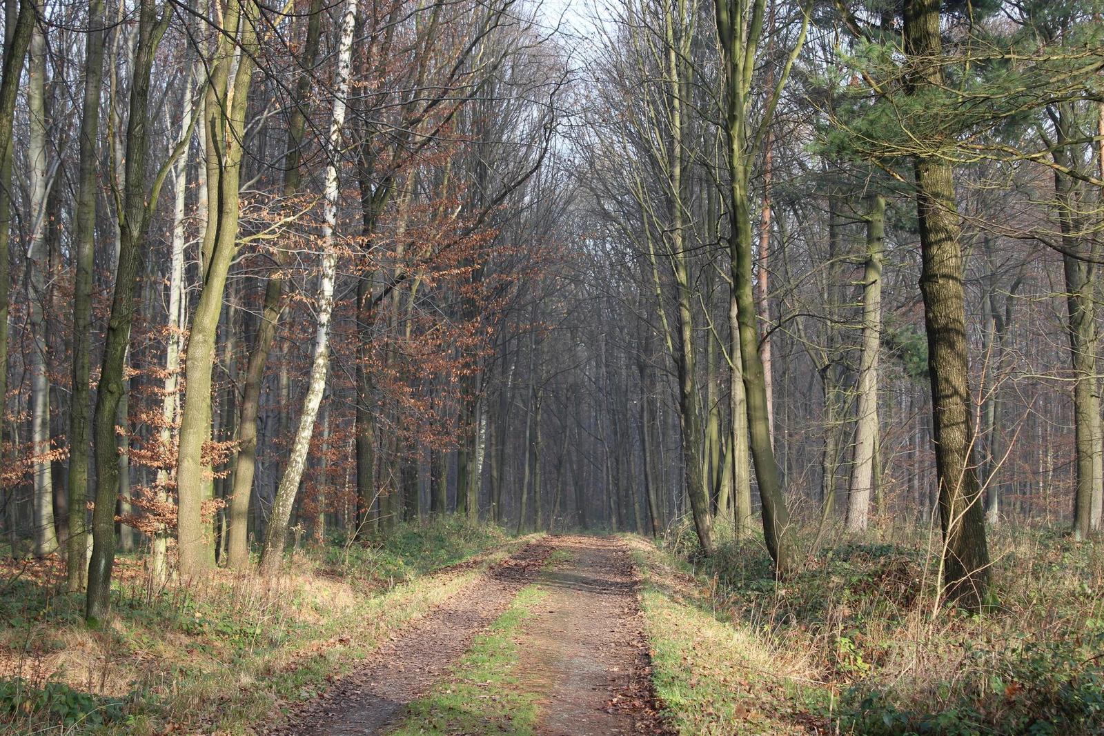 Canon EOS 1200D: vylepšený základ