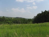 Canon PowerShot A700: Mezi kompaktem a ultrazoomem