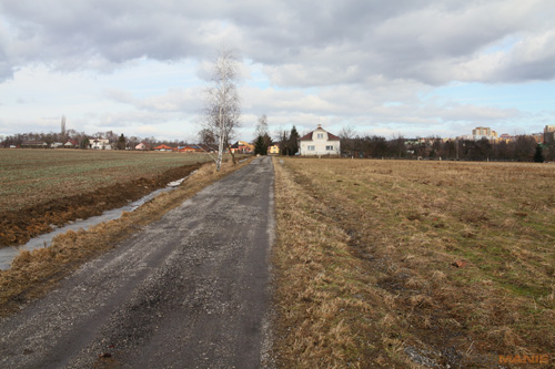 Samyang 35mm F1.4 AS UMC (pro Canon)