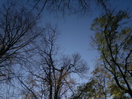 Fotíme mobilem: Panoramata jako nepřekonatelný problém?