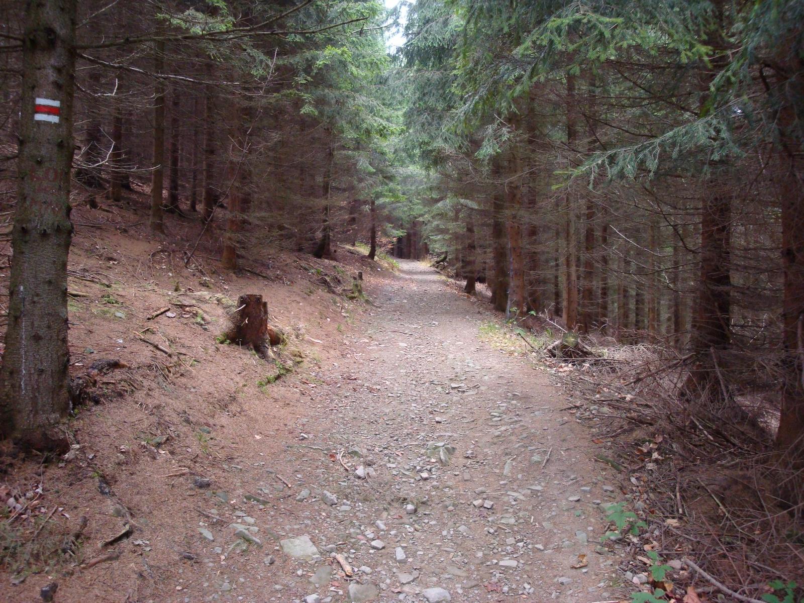 Sony Cyber-shot W150: solidní šikula