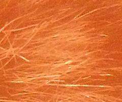 Samsung IT100: kompakt a kamera v jednom